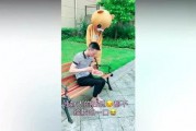 吃瓜小熊网红是谁,网络红人的崛起之路