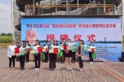 枣庄导游爆料视频大全,视频大全中的独特魅力与历史故事
