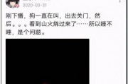 吃瓜娱乐圈打工人,吃瓜日常与职场心酸