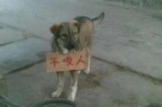 狗咬人最新爆料,最新爆料揭露惊人内幕