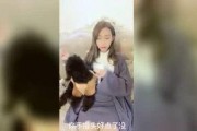 娱乐圈爆料小玫瑰小百合,小玫瑰与小百合的神秘恋情曝光