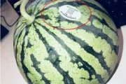 德化网红吃瓜,揭秘网络热点背后的故事