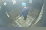 东莞外卖爆料视频最新版,揭秘外卖行业惊人内幕