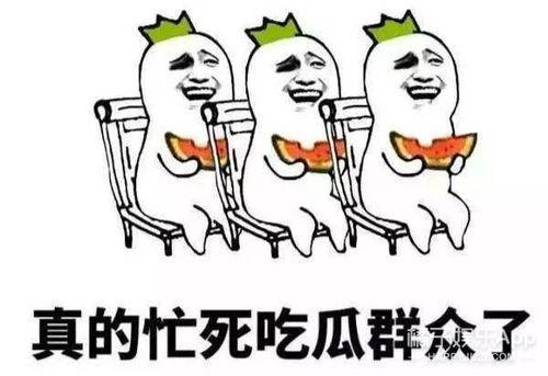 吃瓜群众娱乐星