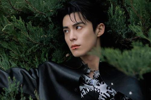 娱乐圈吃瓜爆料王鹤棣刘亦菲,娱乐圈吃瓜爆料再掀热潮