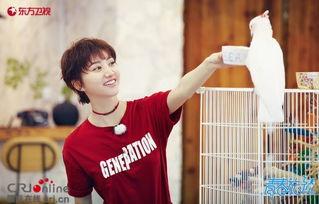 吃瓜娱乐圈王源