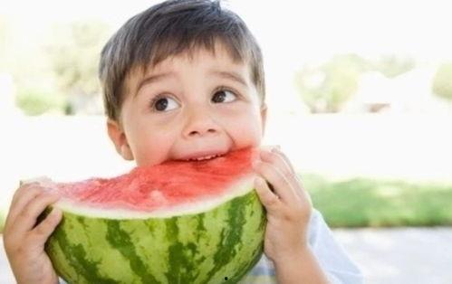 娱乐吃瓜酱喂西瓜小说