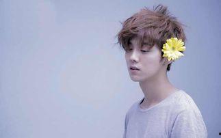 娱乐圈吃瓜爆料鹿晗热巴,娱乐圈吃瓜群众热议不断