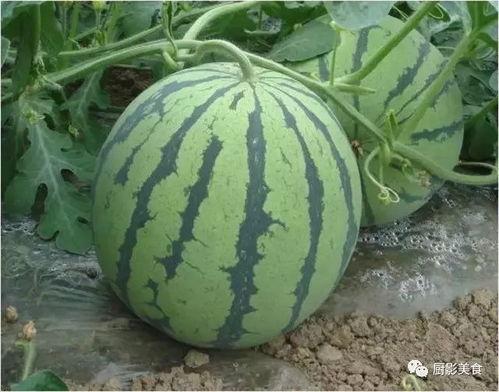 娱乐吃瓜号配音怎么做,如何打造引人入胜的趣味内容