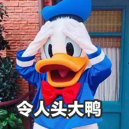 娱乐吃瓜酱鸭鸭视频下载