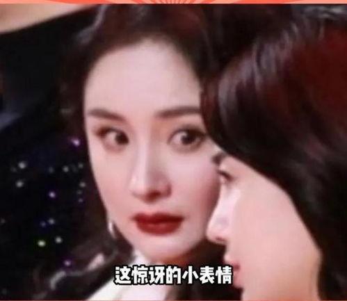 娱乐圈吃瓜教主百度云,揭秘娱乐圈幕后风云
